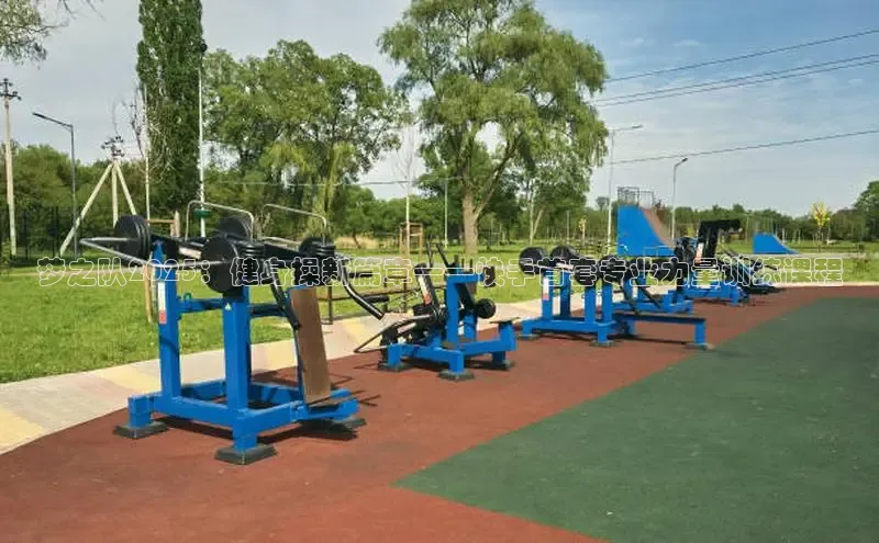 天生赢家凯发一触即发小说